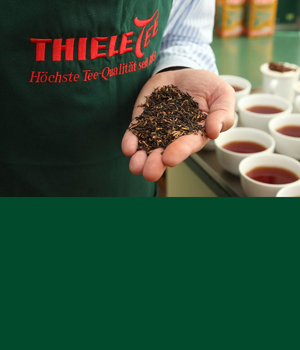 thiele-tee-pdp-slider-01