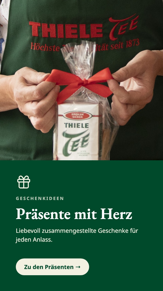 thiele-stoerer-praesente-final-clean