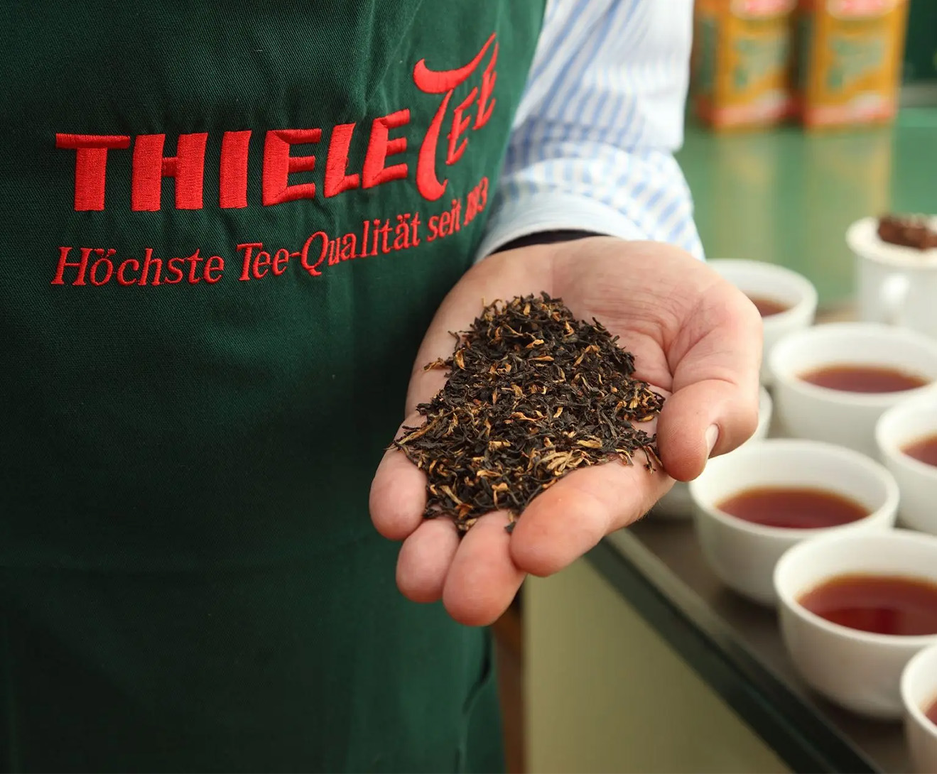 thiele-tee-kategorie-raster-01